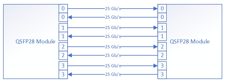 QSFP28 介面(示意圖)
